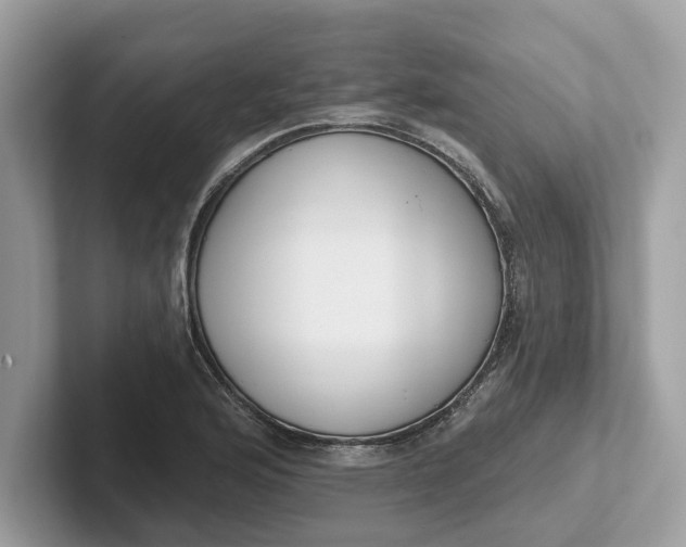 X0000101401176200807211027