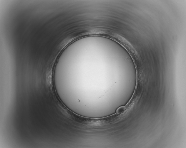 X0000101401177200807211027