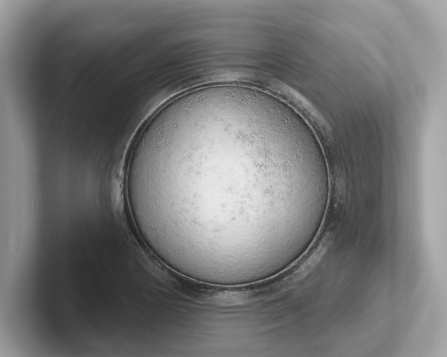 X0000101401178200807211027