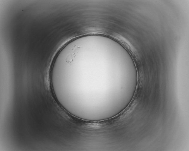 X0000101401182200807211027