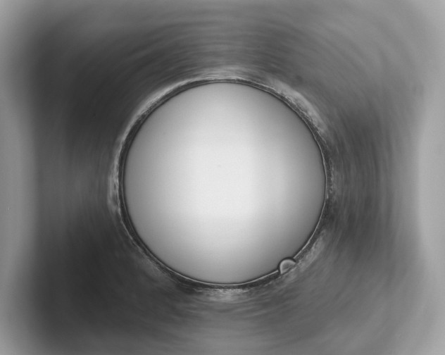 X0000101401184200807211027