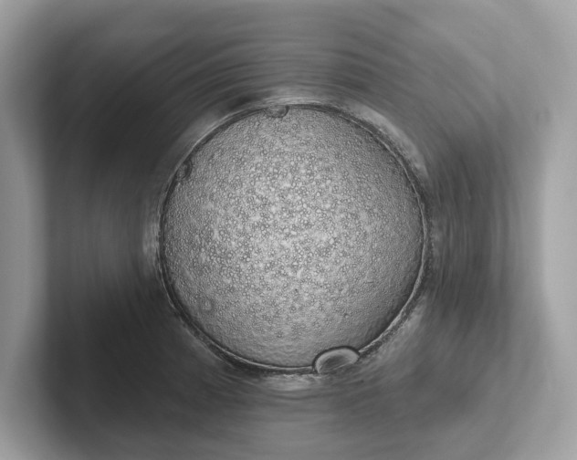 X0000101401185200807211027