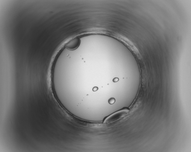 X0000101401188200807211027