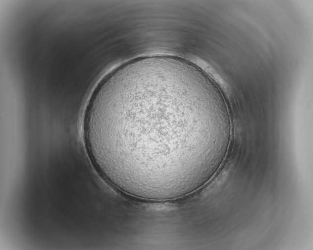 X0000101401189200807211027