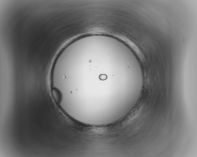 X0000101401191200807211027