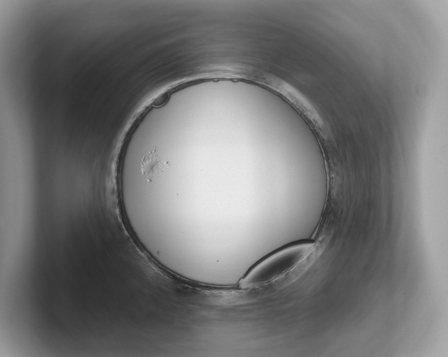 X0000101401192200807211027