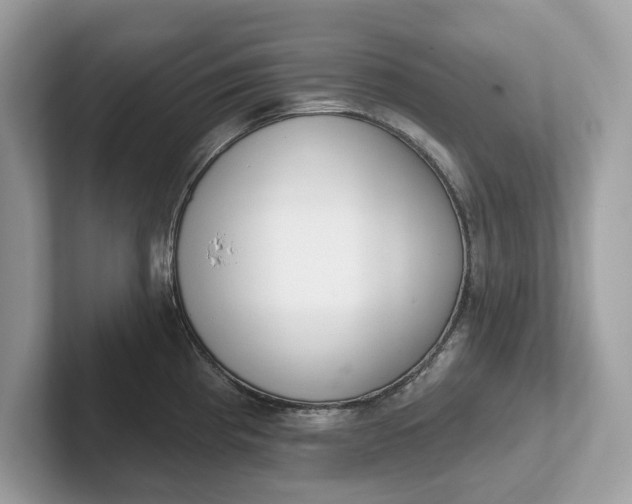 X0000101401193200807211027