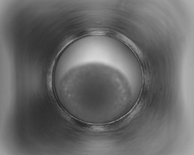 X0000101401194200807211027