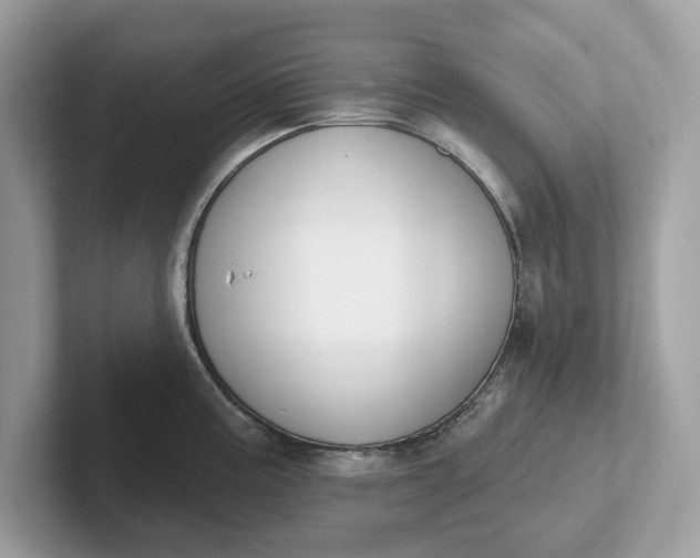 X0000101401195200807211027