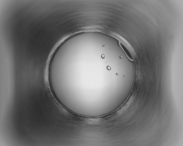 X0000101401196200807211027