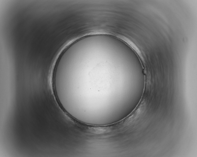 X0000101401197200807211027