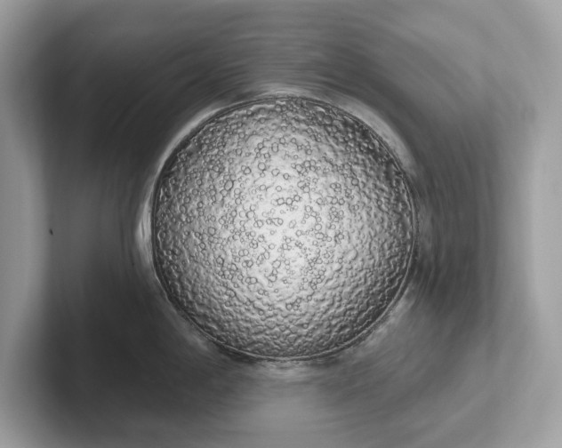 X0000101401198200807211027