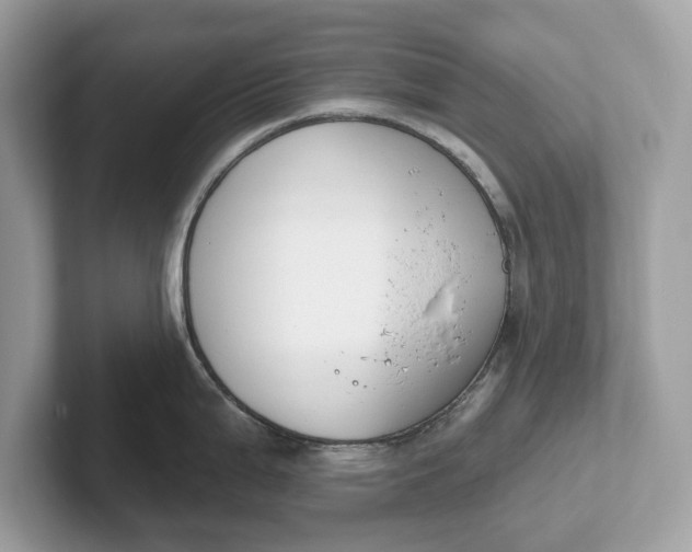 X0000101401199200807211027