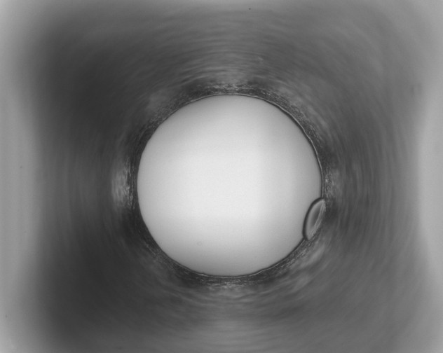 X0000101401202200807211026