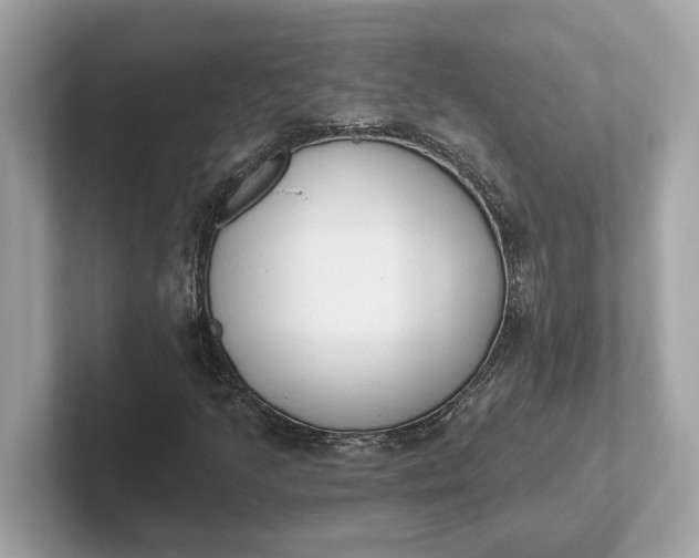 X0000101401205200807211026