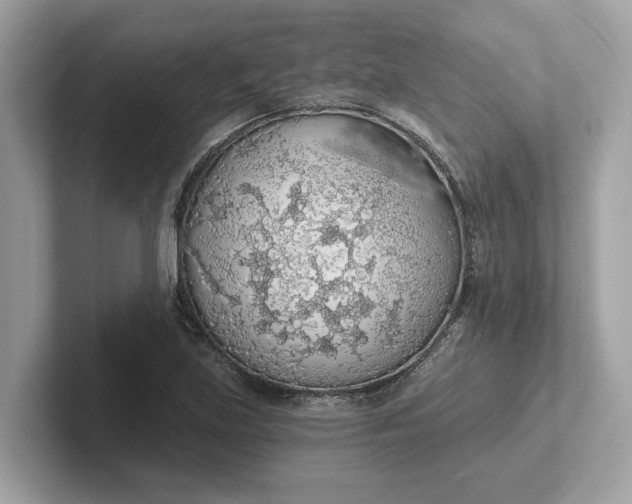 X0000101401219200807211027