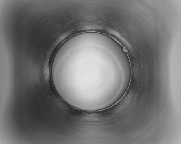 X0000101401221200807211027