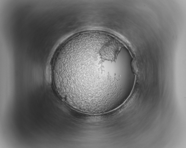 X0000101401223200807211027