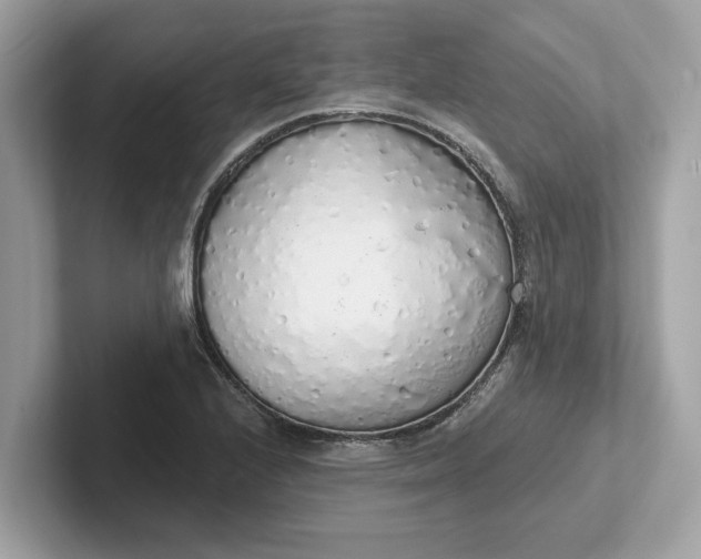 X0000101401224200807211027