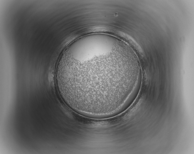 X0000101401225200807211027