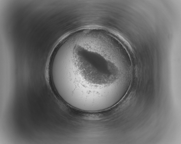 X0000101401229200807211027