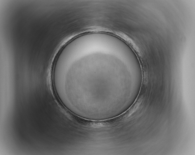 X0000101401231200807211027