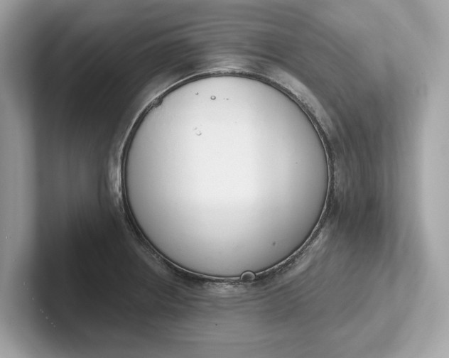 X0000101401234200807211027