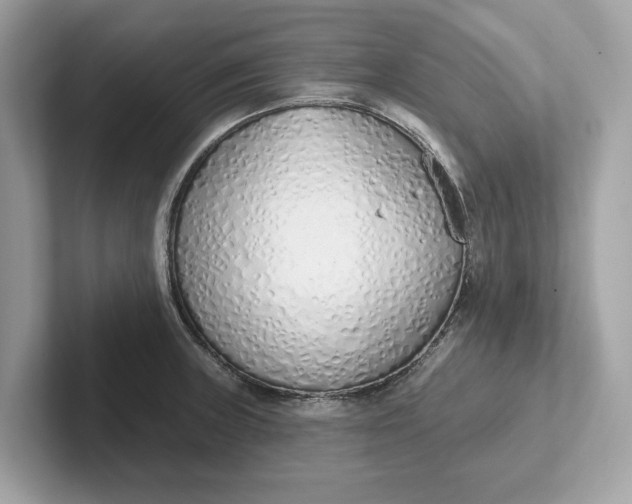 X0000101401235200807211027