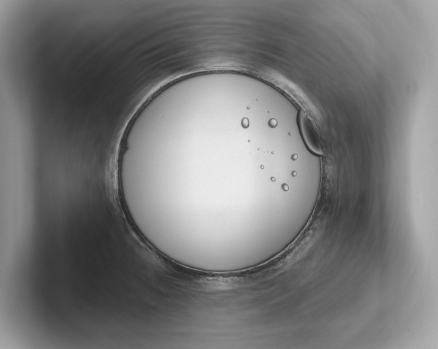 X0000101401236200807211027