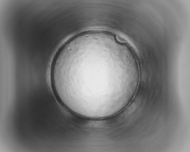 X0000101401237200807211027