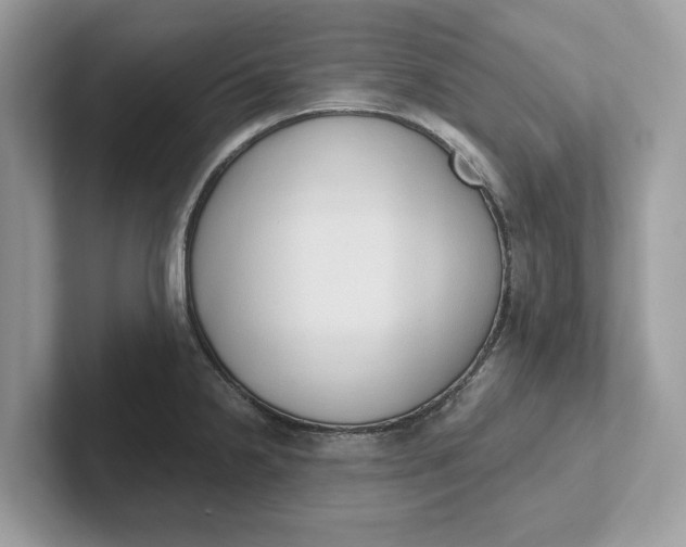 X0000101401238200807211027