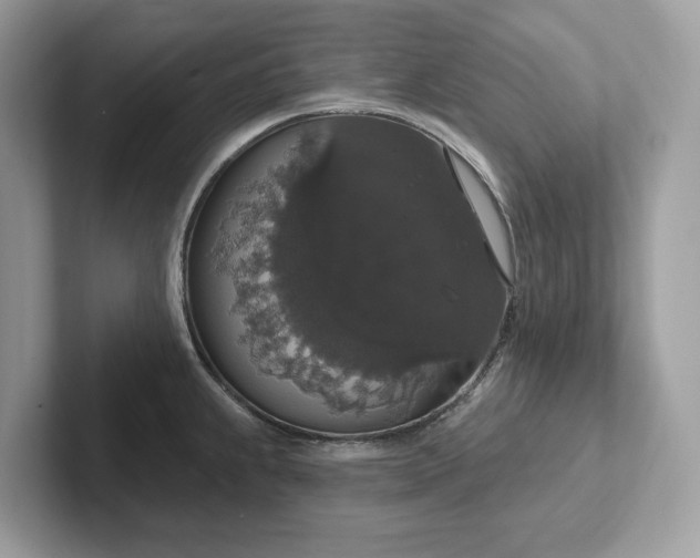 X0000101401239200807211027