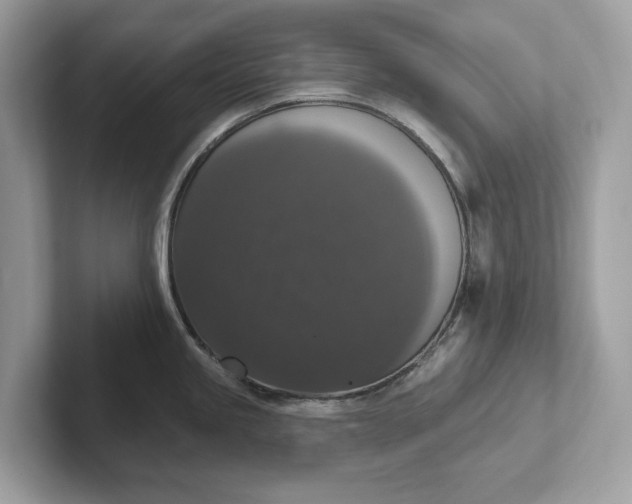 X0000101401245200807211027