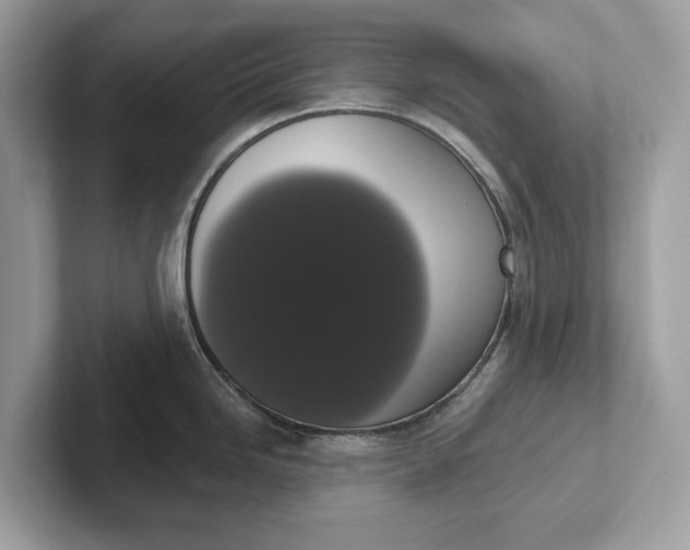 X0000101401246200807211027