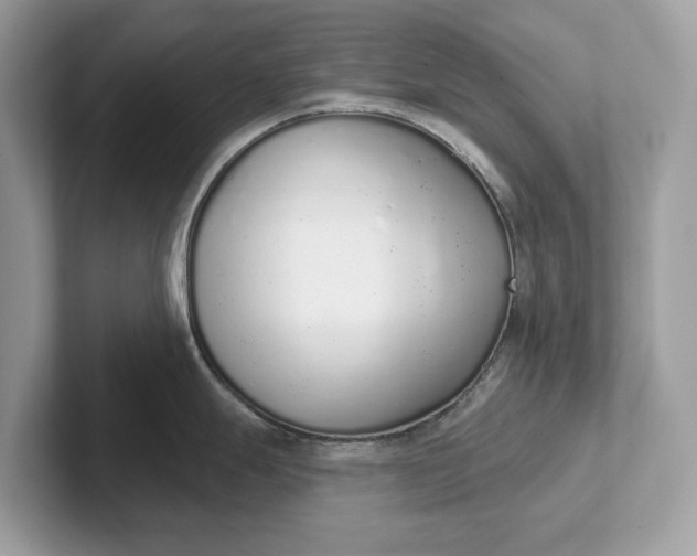 X0000101401247200807211027