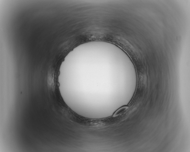 X0000101401250200807211026