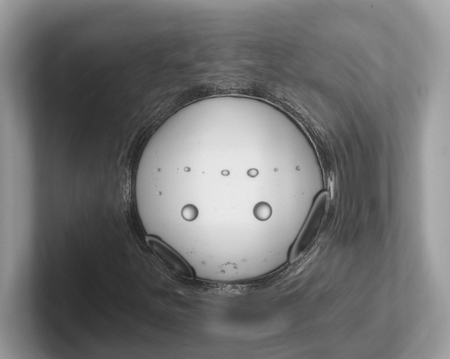 X0000101401251200807211026