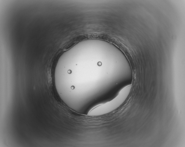 X0000101401252200807211026