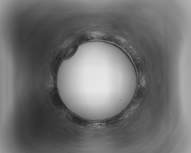 X0000101401253200807211026