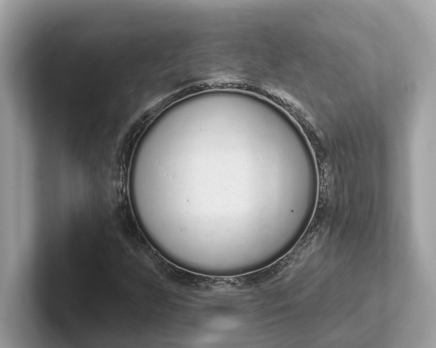 X0000101401255200807211026