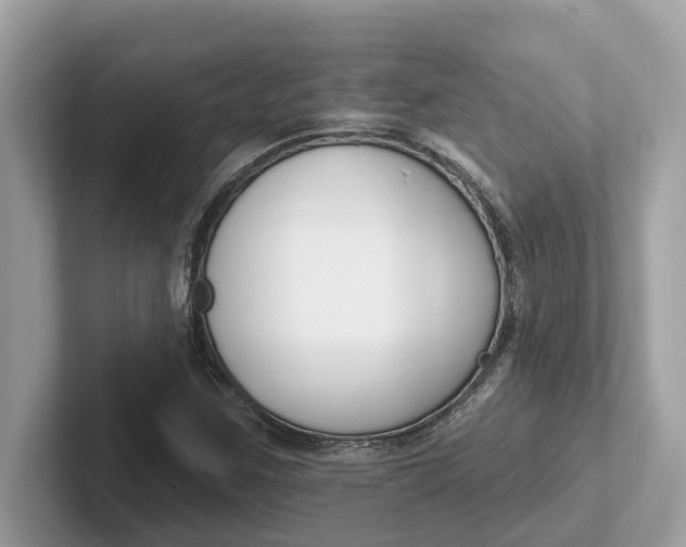 X0000101401259200807211026