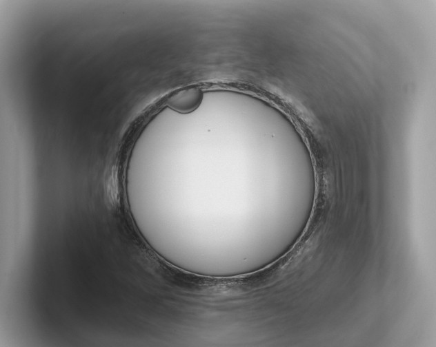 X0000101401262200807211026