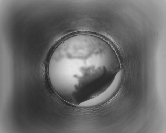 X0000101401263200807211026