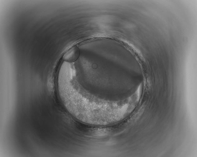 X0000101401266200807211026