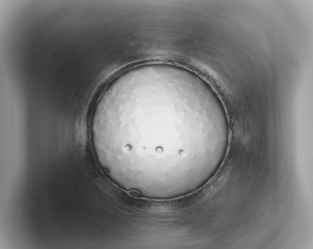 X0000101401267200807211026