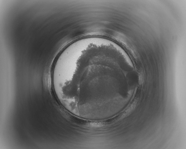 X0000101401274200807211026