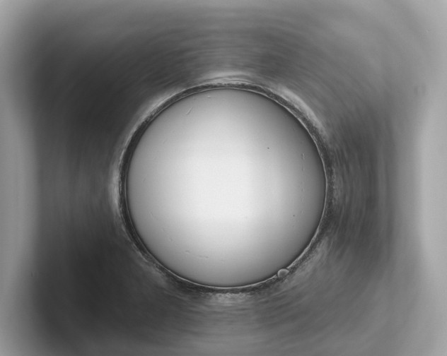 X0000101401277200807211026