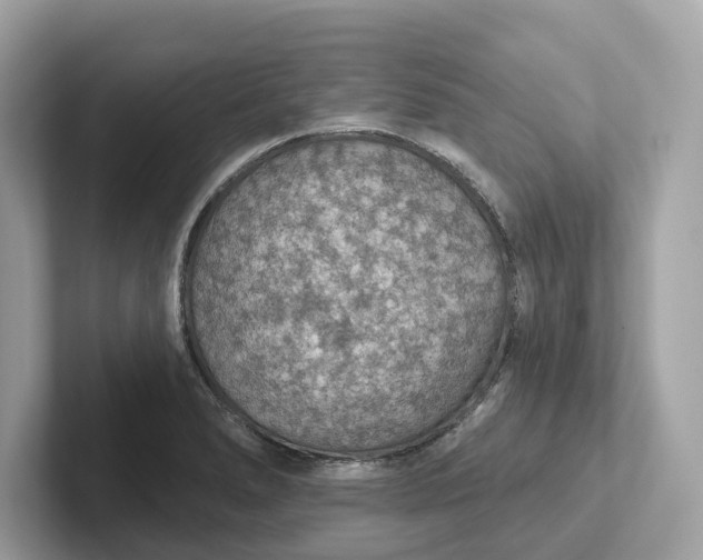 X0000101401278200807211026