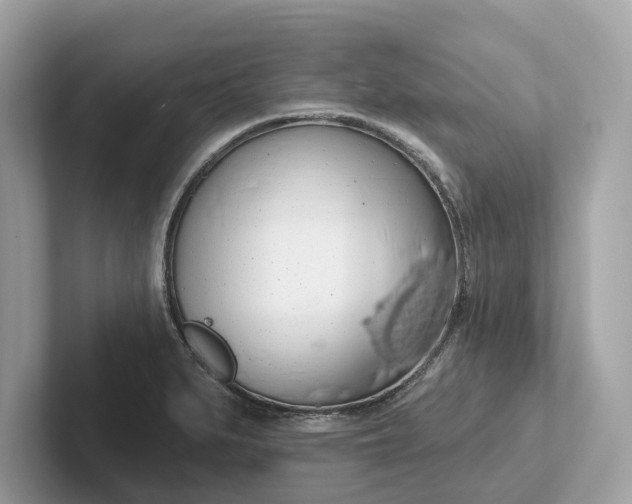 X0000101401279200807211026