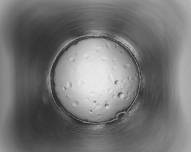 X0000101401283200807211026